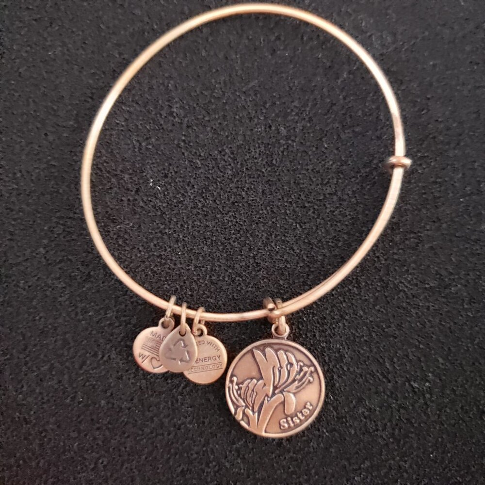 Alex and Ani Sister Copper / Gold Charm Bracelet  Bangle  40